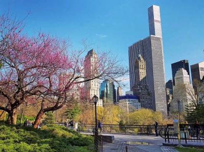 Spring into Fun: A Family-Friendly Week in New York City
