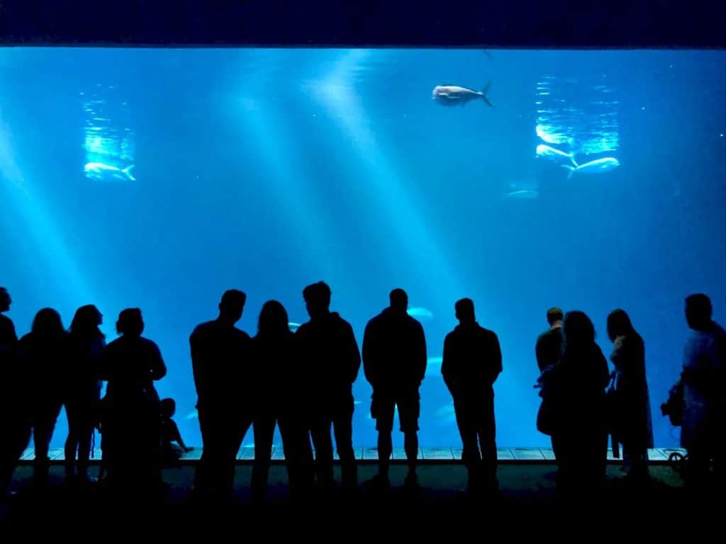 Family Fun on Long Island: 6 Attractions for All Ages